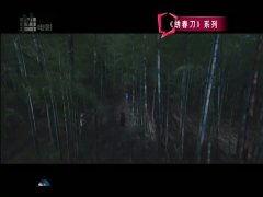 国产精品大陆在视频,影视盛宴,展现中国魅力